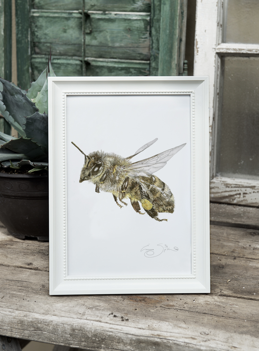 ART PRINT HONUNGSBI  21x30