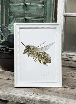 ART PRINT HONEY BEE 21x30