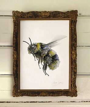 ART PRINT BUMBLEBEE 30x40