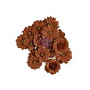 Prima Paper Flowers Nature Academia - Enchanted Hill