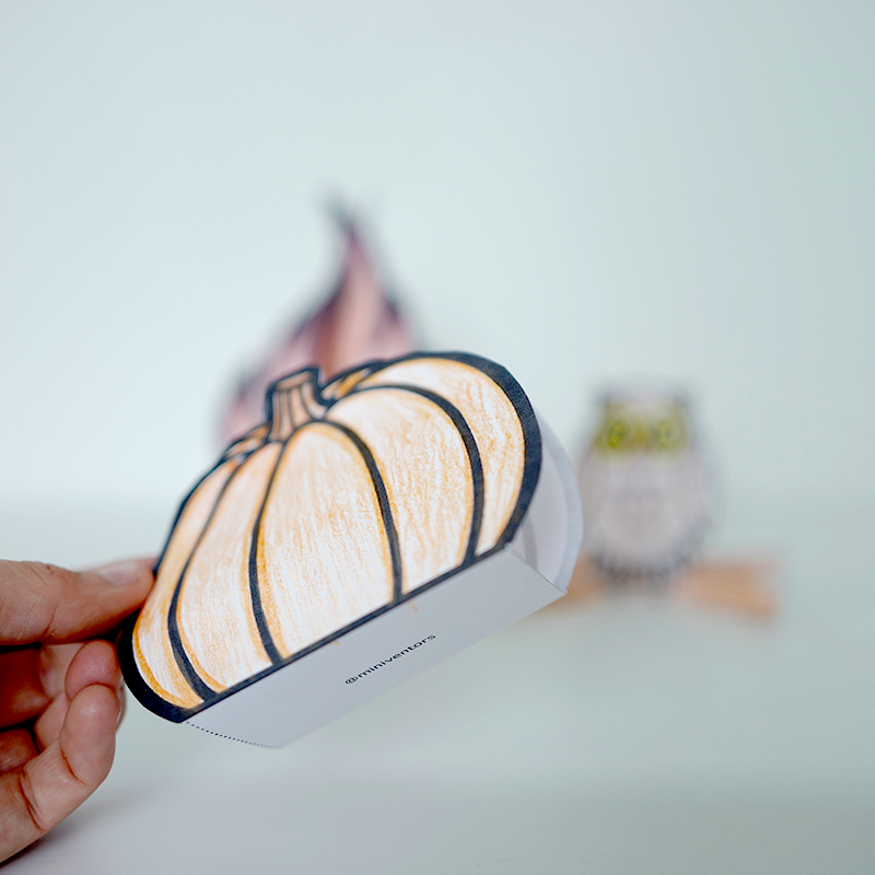 Pumpa | Eld | Uggla i 3D - 4