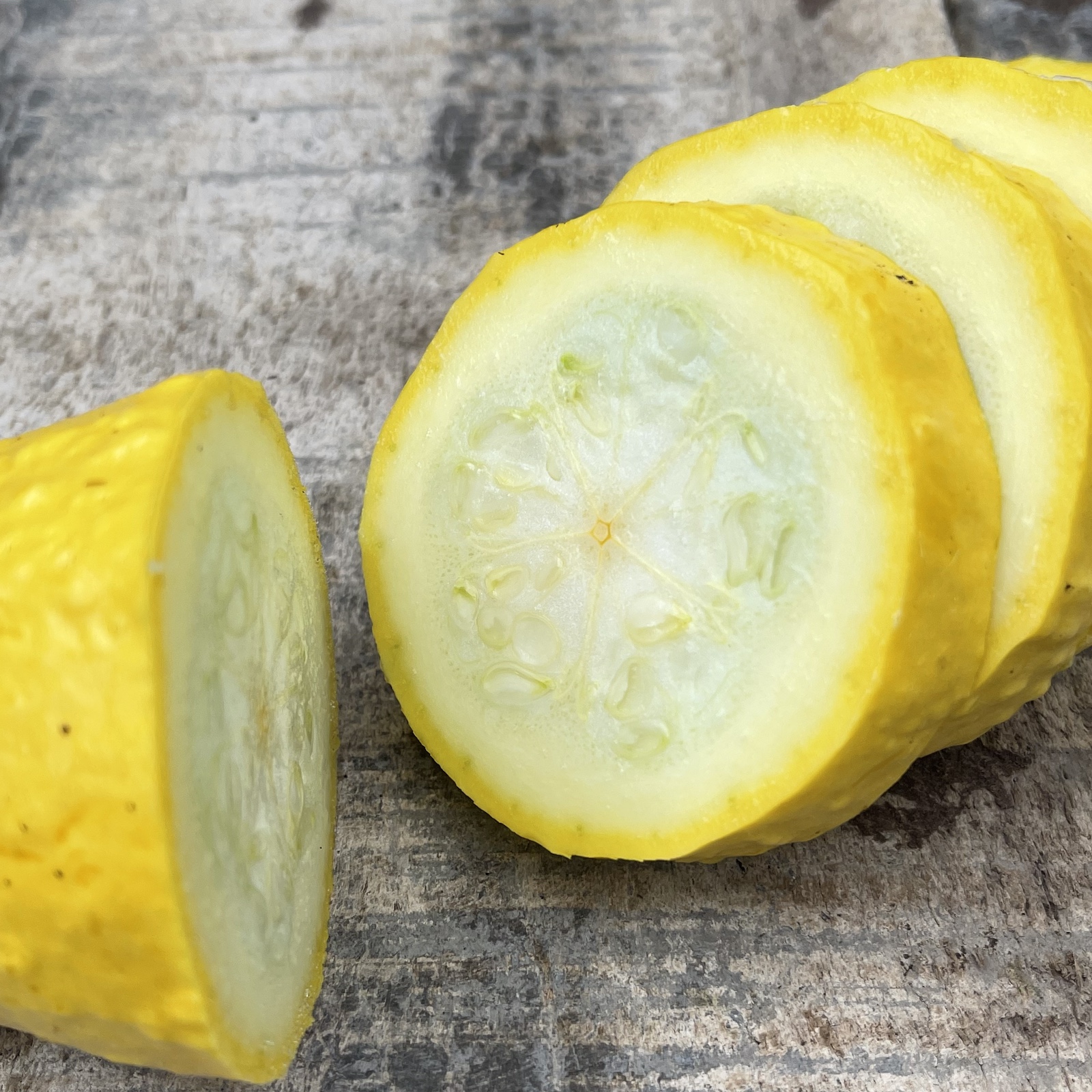 Zucchini 'Early Summer Crookneck' - Skruvhalspumpa - 6