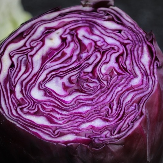 Frö till Rödkål 'Rufus'