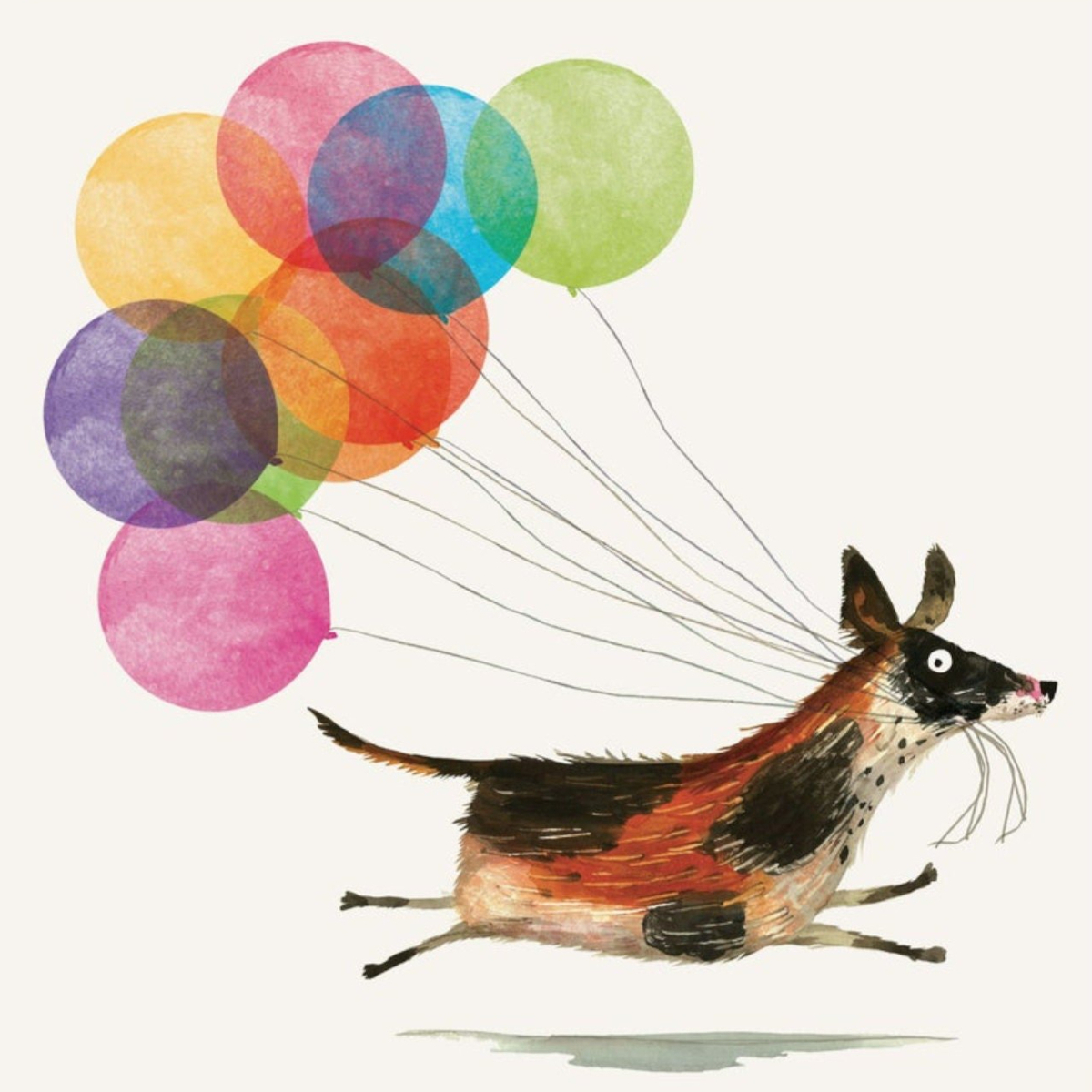 Party Time, Greeting Cards