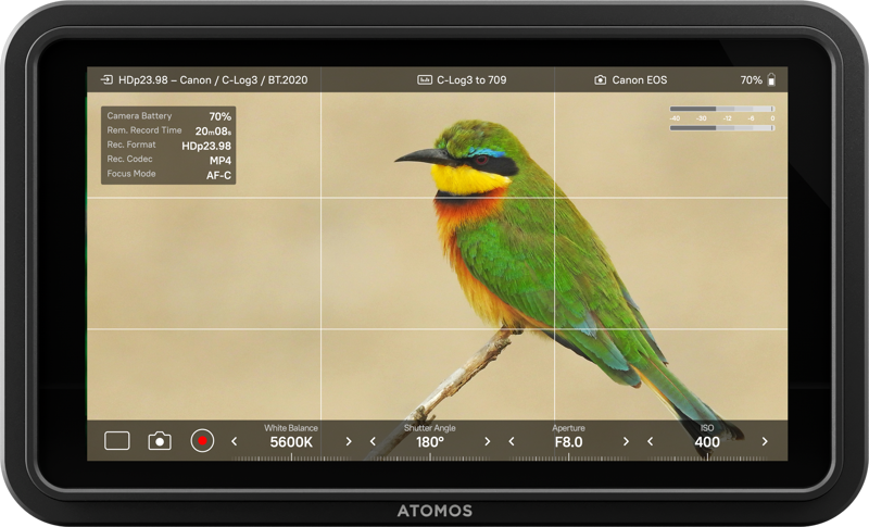 Atomos Shinobi II  5"  1500nit HDMI monitor - 2