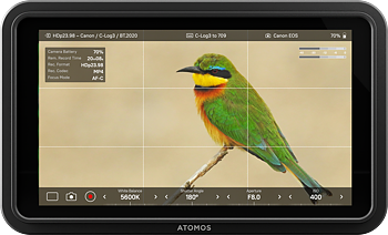 Atomos Shinobi II  5" 1500nit HDMI monitor
