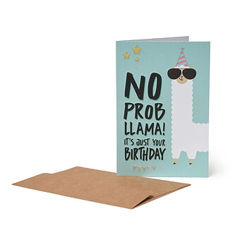 Large Greeting card, Llama its your Birthday (BG0692)
