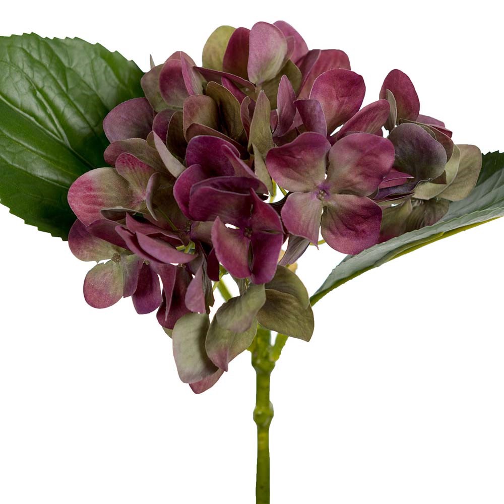 Hortensia 25 cm - Lila/Grön