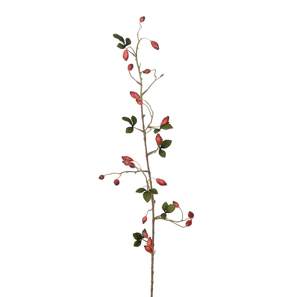 Nyponkvist  100 cm - Röd