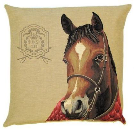 Horse Red Blanket