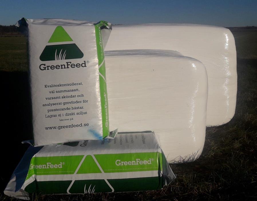 Green Feed  - Tävling - 3