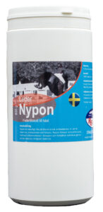 Nyponpulver