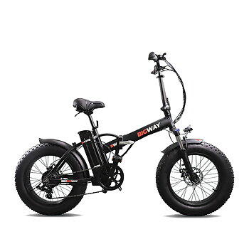 BIGWAY 20"  FAT BIKE 250W 36V ELECTRIC BIKE S-TYPE