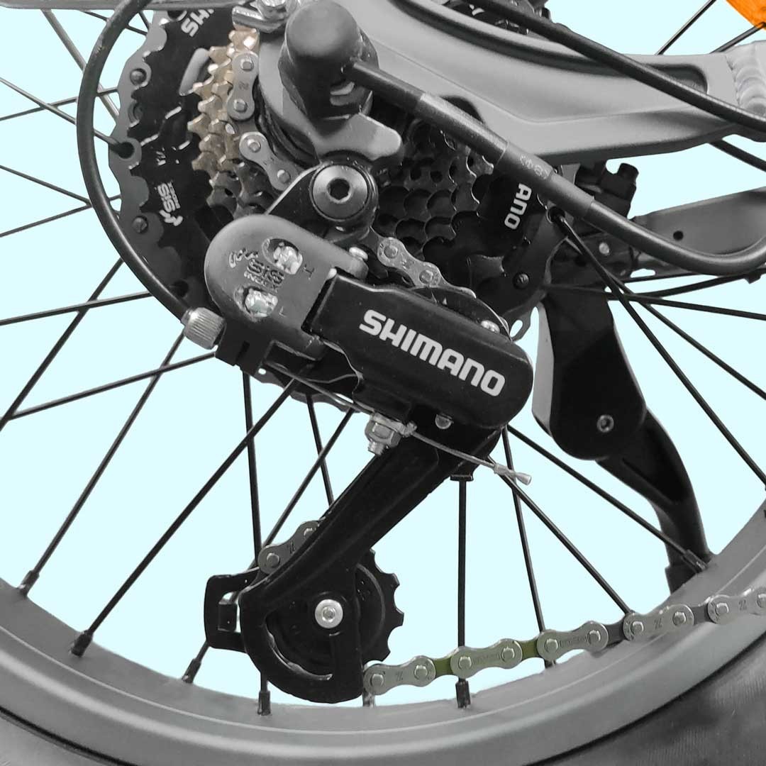 BIGWAY 20"  FAT BIKE 250W 36V ELECTRIC BIKE S-TYPE - 6
