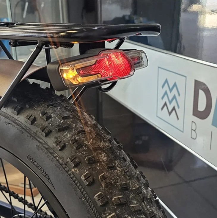 BIGWAY 20"  FAT BIKE 250W 36V ELECTRIC BIKE S-TYPE - 11