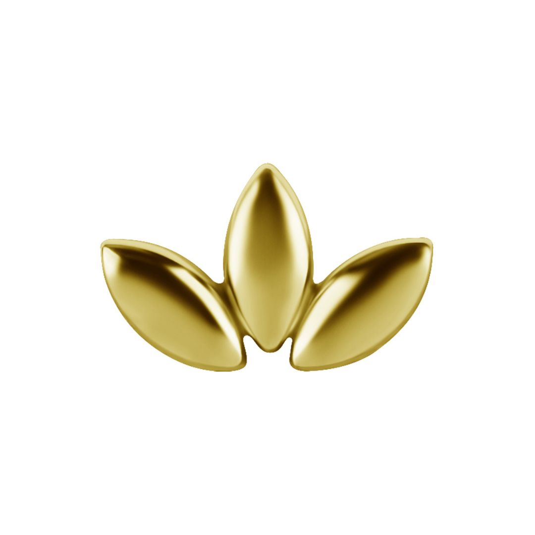 Top to internally threaded labret - lotus - 18K gold PVD