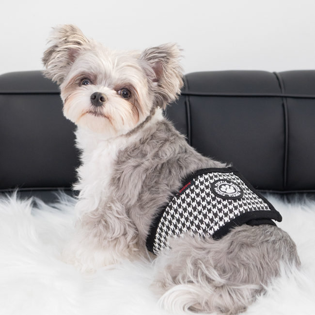Puppia Egon Hanhundsskydd Svart Large - 2