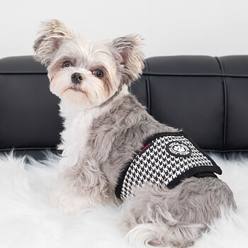 Puppia Egon Hanhundsskydd Svart Large