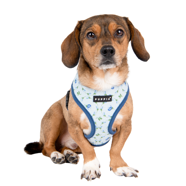 Puppia Sele Modell-A Florian Blå Small - 2