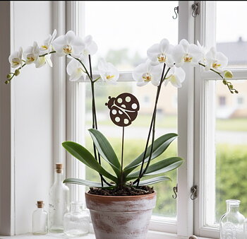 50% RABATT ÄR AVDRAGEN/Nyckelpiga blomsterstick/12 ST PER FÖRP