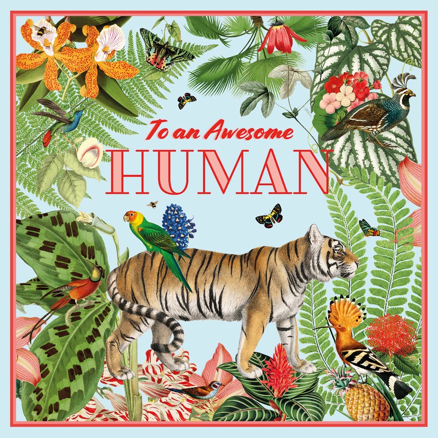 To an Awesome Human, Greeting Card