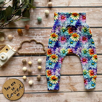 COLORFUL DAISYS COLLEGE