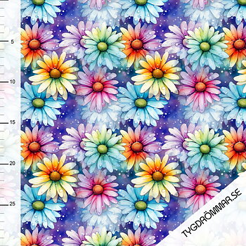 COLORFUL DAISYS COLLEGE