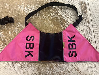 Tjänstetecken standard SBK äldre modell