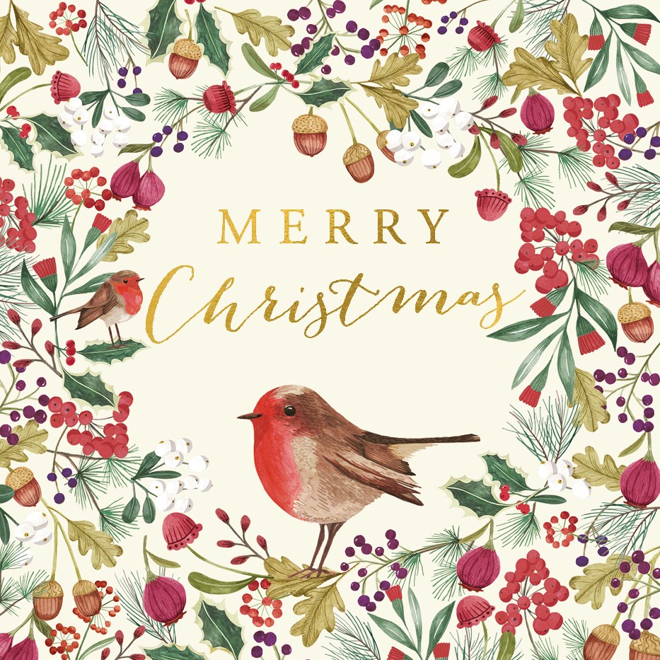Christmas Robin, Luxury Box