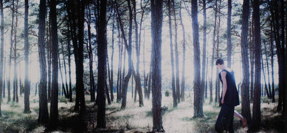Florence Montmare: Scenes from an Island [signed] - 7