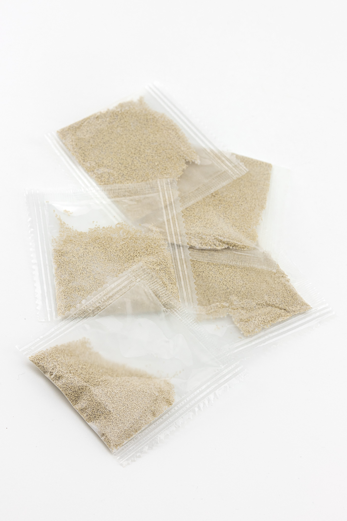 Dennerle Plants CO2 Starter Kit - 4