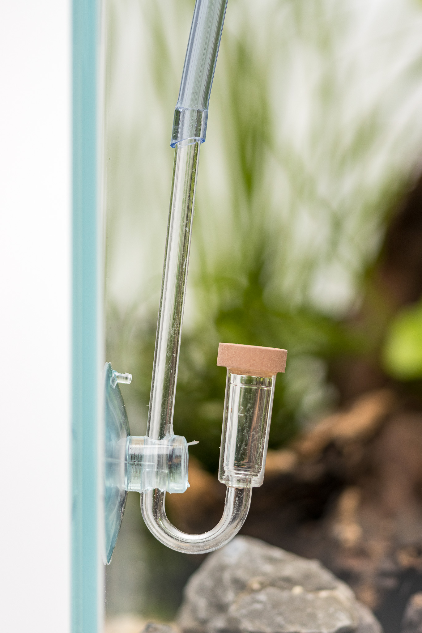 Dennerle Plants CO2 Starter Kit - 3