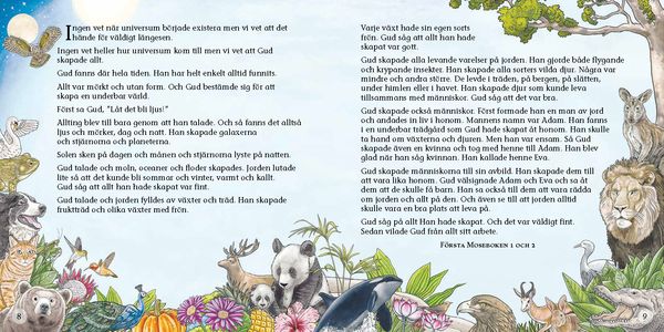 Barnens berättarbibel - 3