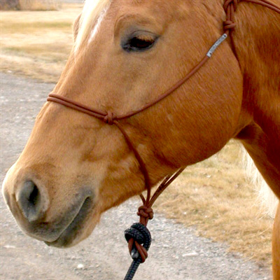 Ropehalter Buck Brannaman #124, brown - 3