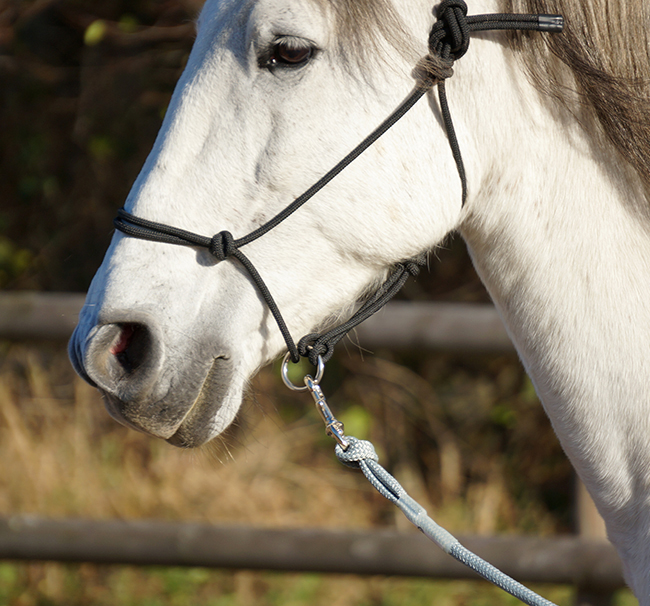 Rope halter Double Diamond #100 (sharp) "Mike Major", average - 3
