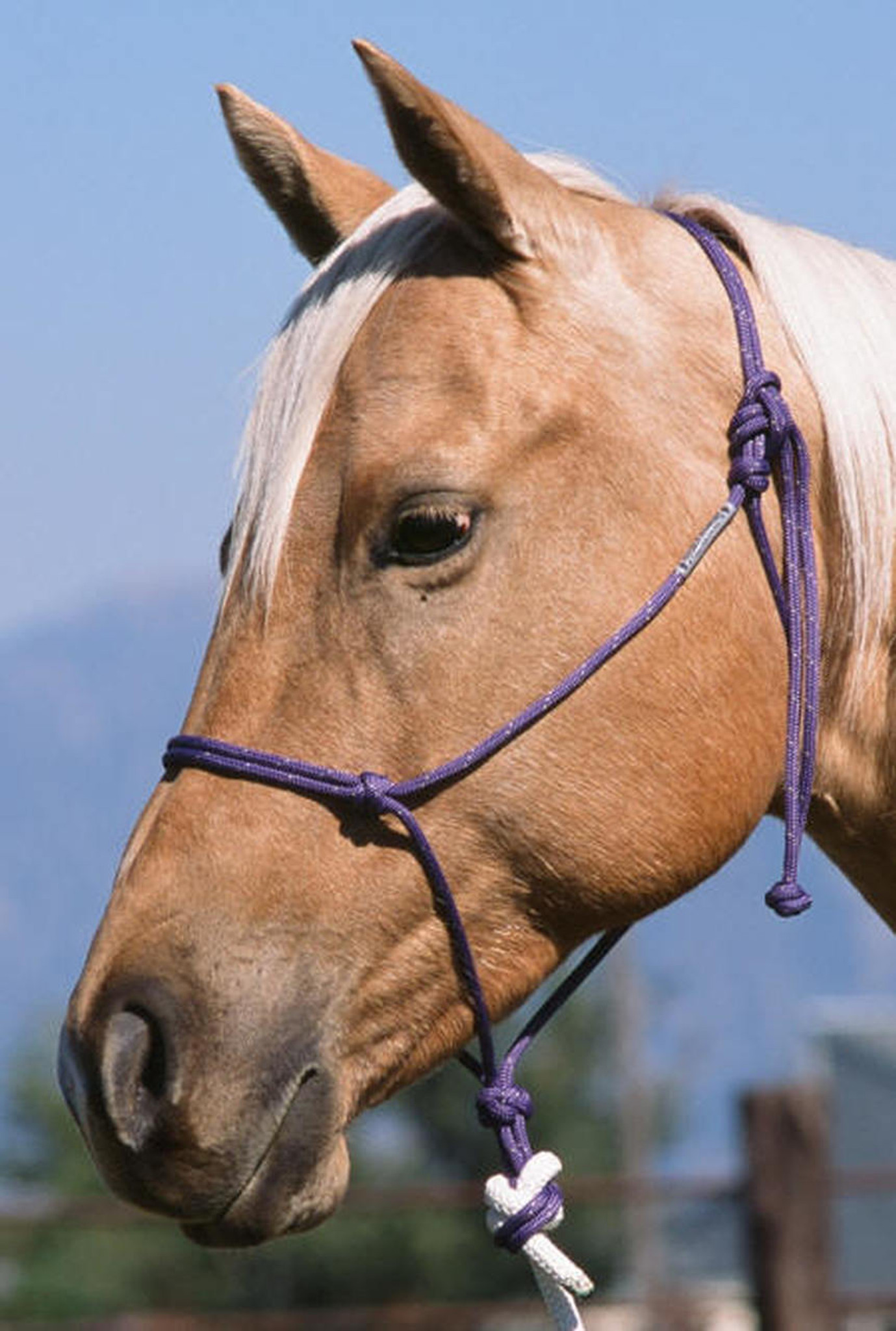 Horsemanship rope Buck Brannaman TreeLine PRO (Made in USA), 4,1 m - 6