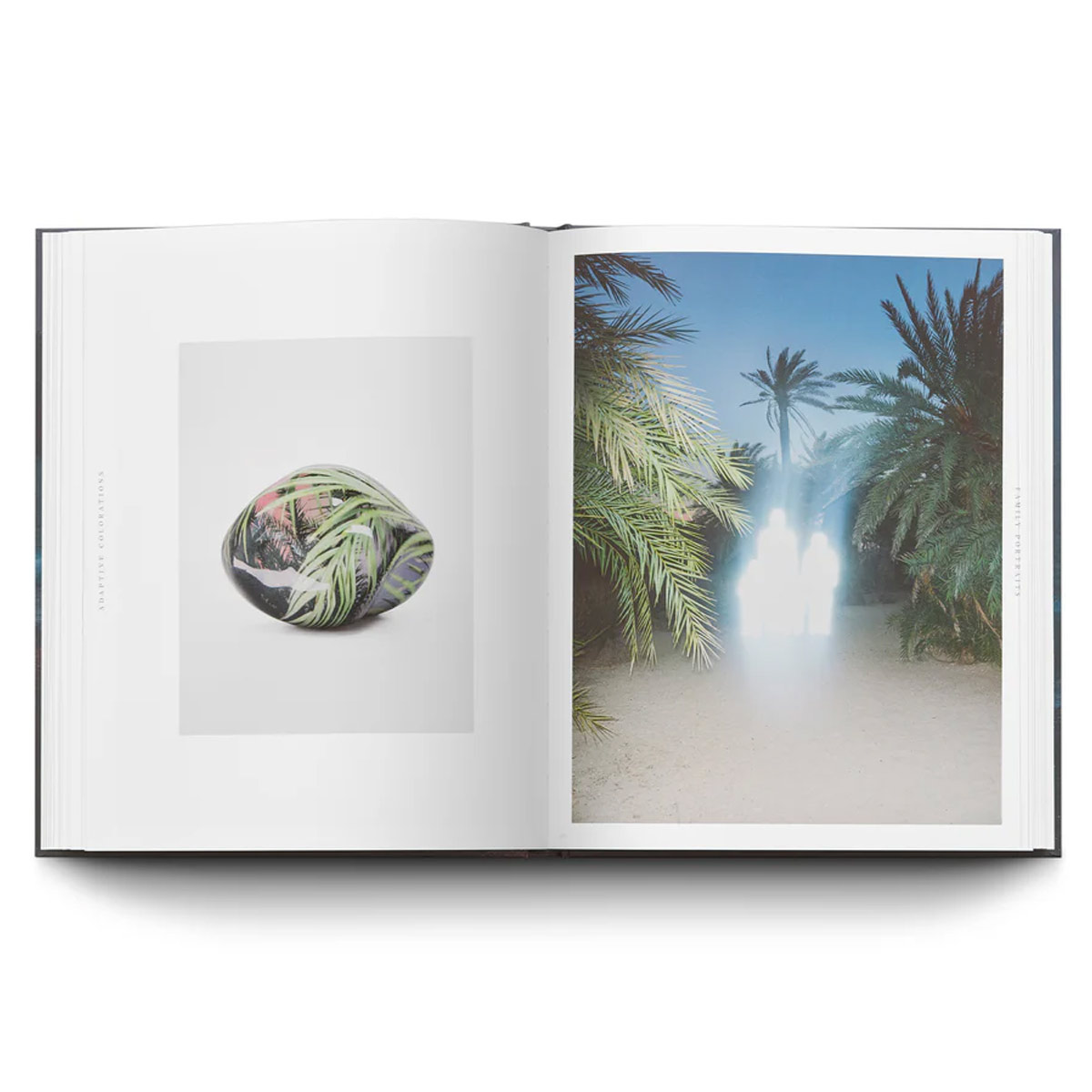 Inka & Niclas: Extensions - 5