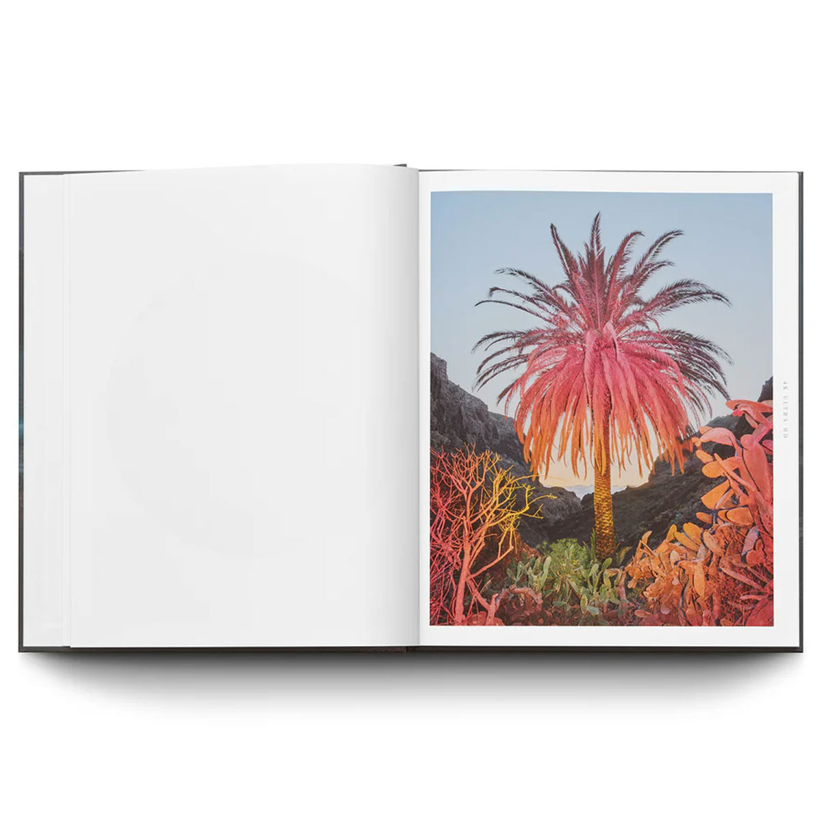 Inka & Niclas: Extensions - 3