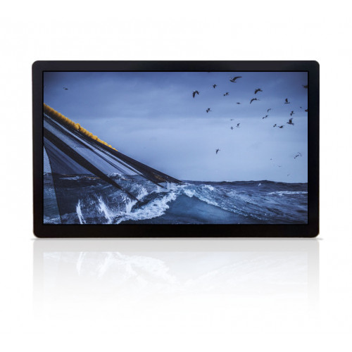 Olorin VistaLine 55" 4K monitor