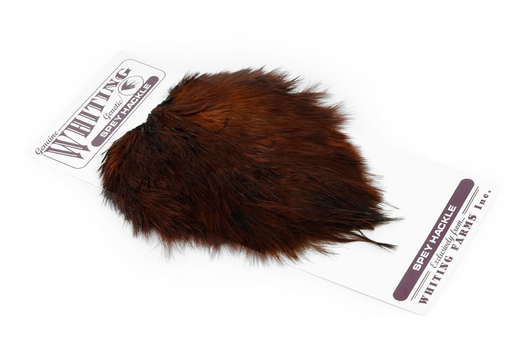 Whiting Spey Hackle Hen Saddle - 9
