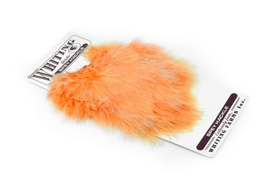 Whiting Spey Hackle Hen Saddle Wittlock Sportfiske