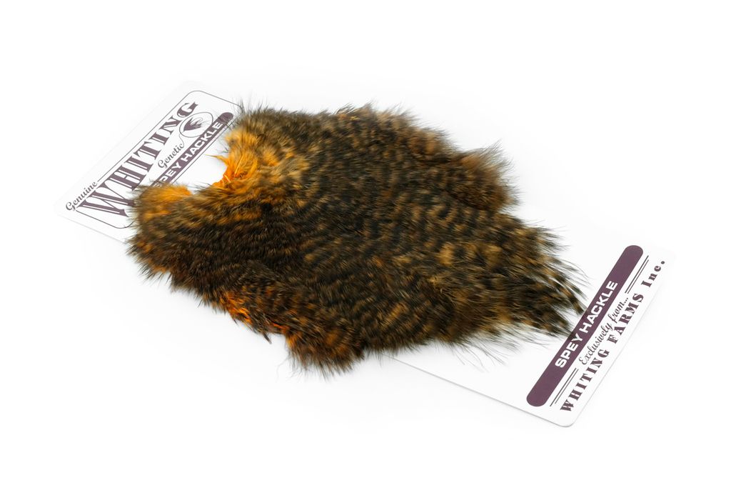 Whiting Spey Hackle Hen Saddle - 5