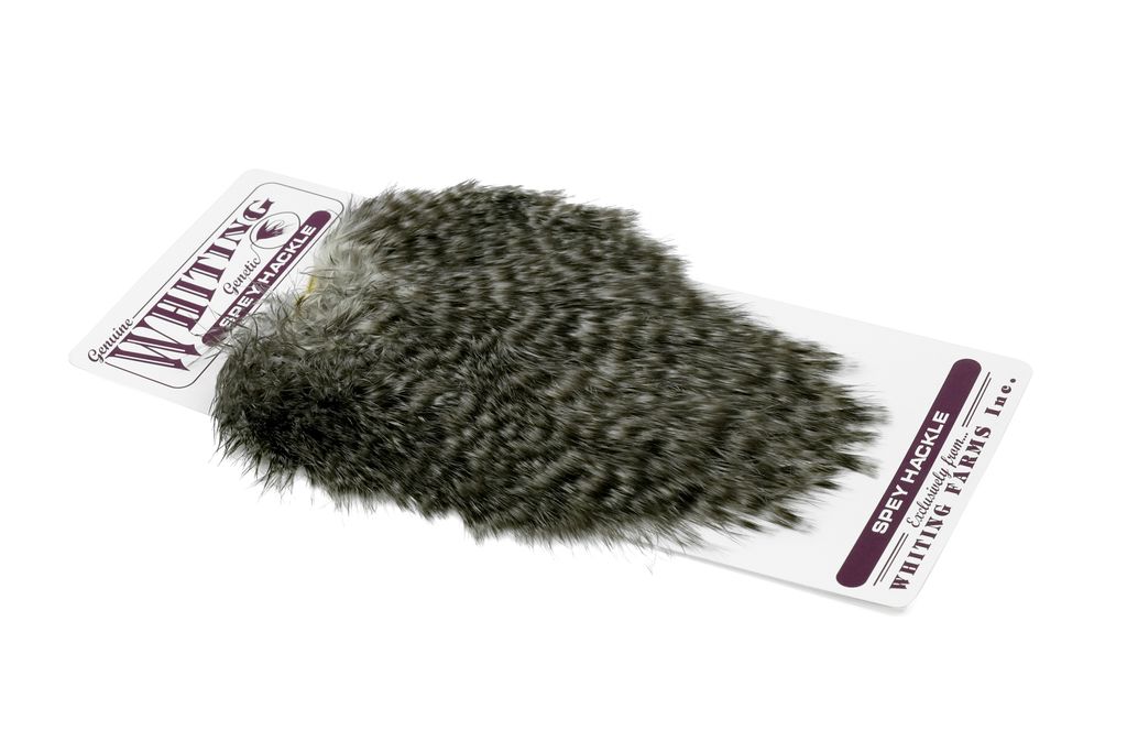 Whiting Spey Hackle Hen Saddle - 2