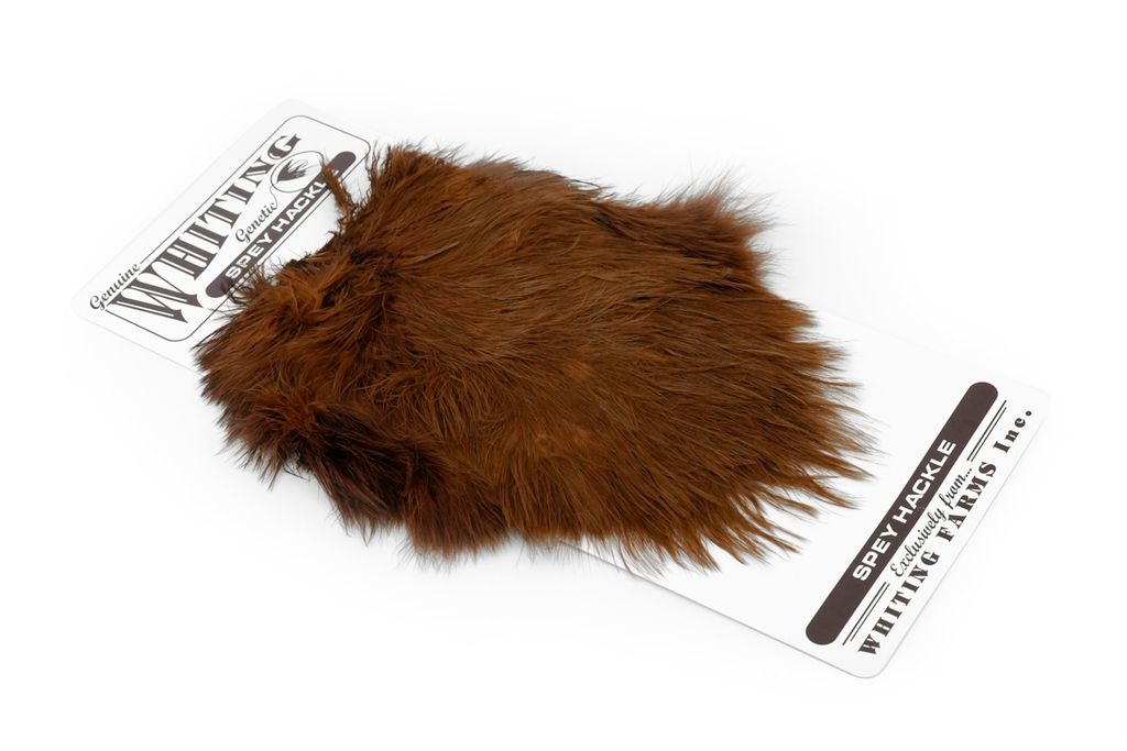 Whiting Spey Hackle Hen Saddle - 6