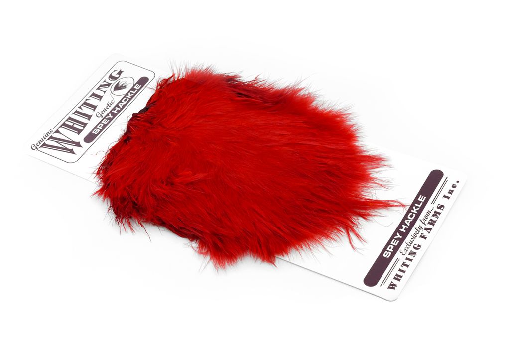 Whiting Spey Hackle Hen Saddle - 8
