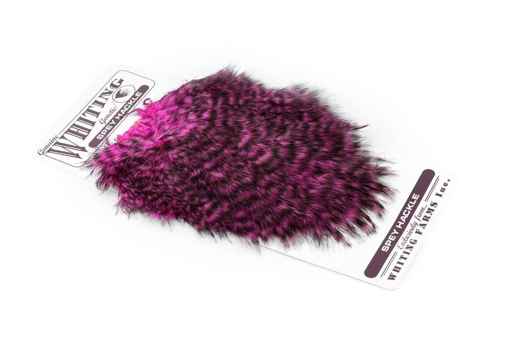 Whiting Spey Hackle Hen Saddle - 7