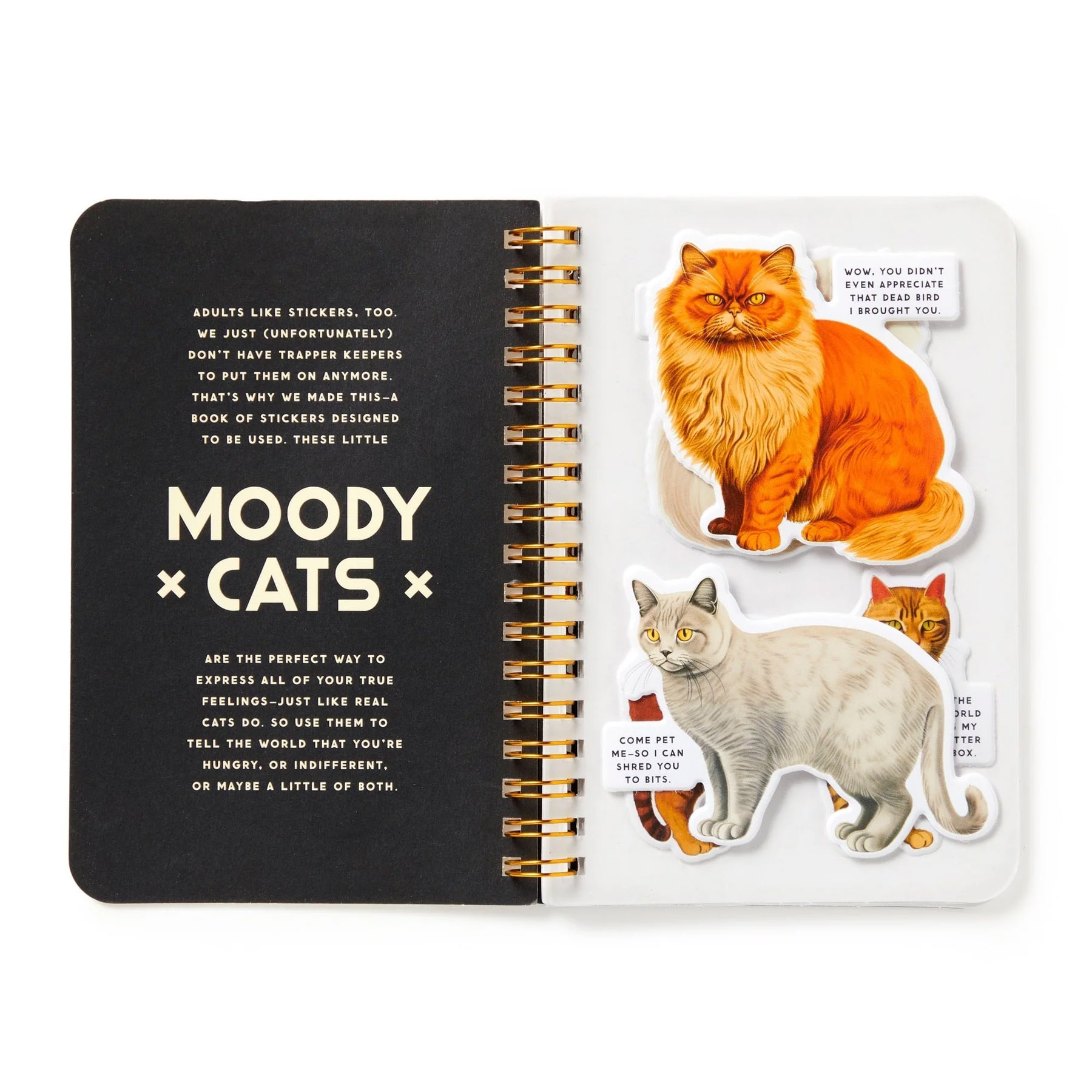 Moody Cats, Sticker Book - 5