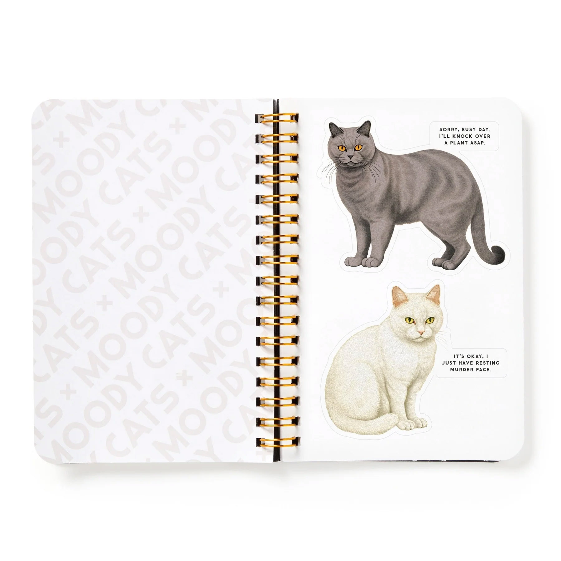 Moody Cats, Sticker Book - 7