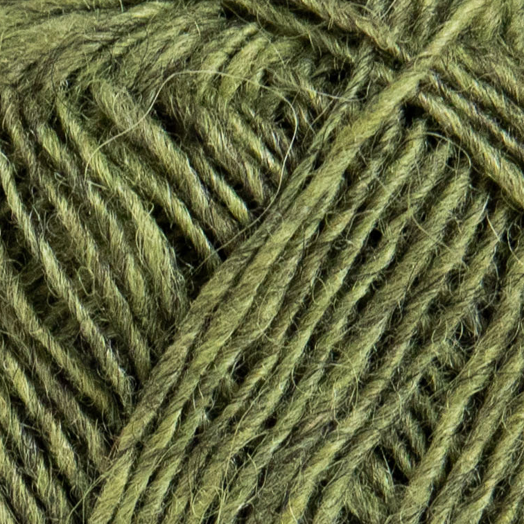 Fjallalopi - Moss - 2