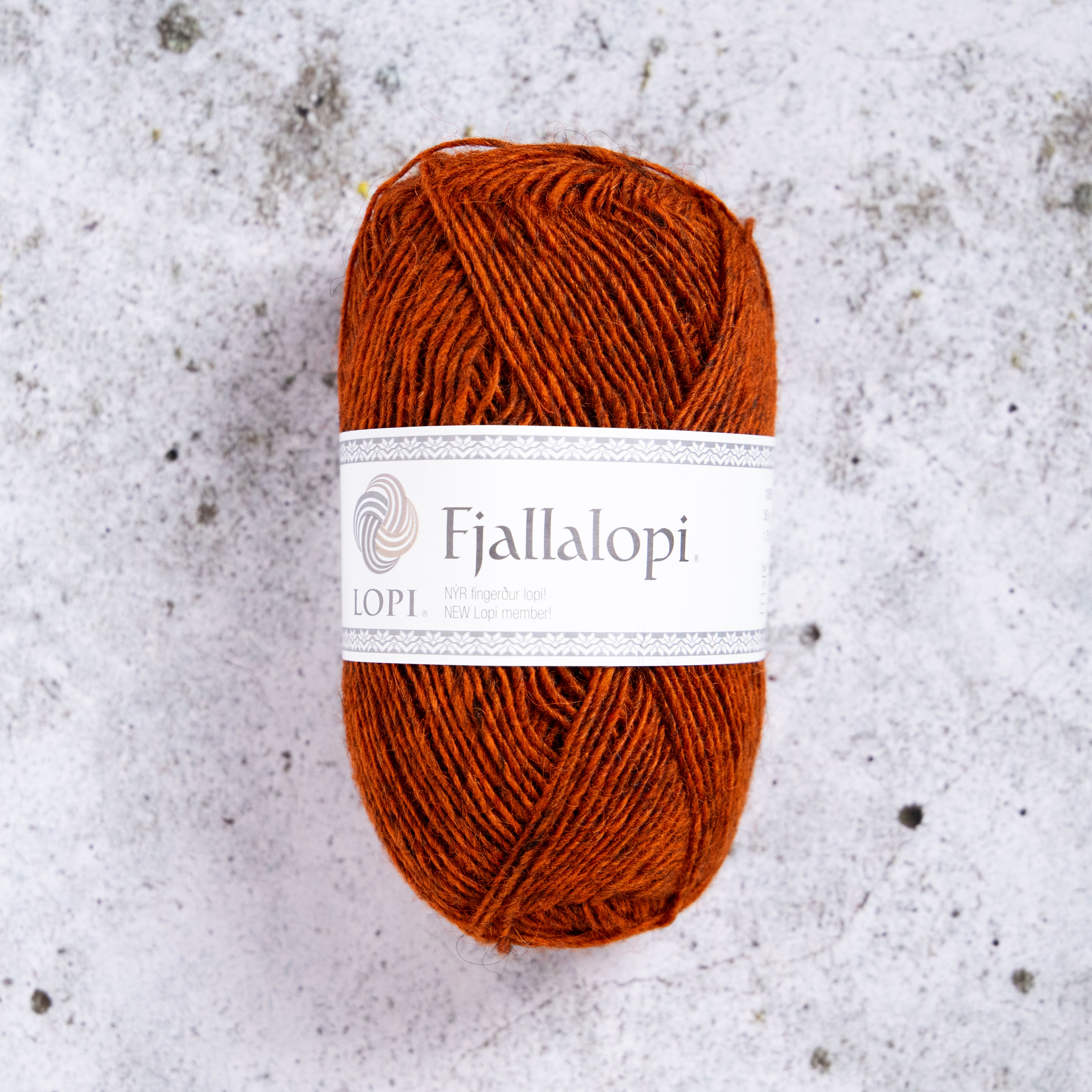 Fjallalopi - Ginger